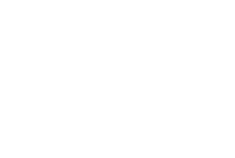 strive_BRANCO